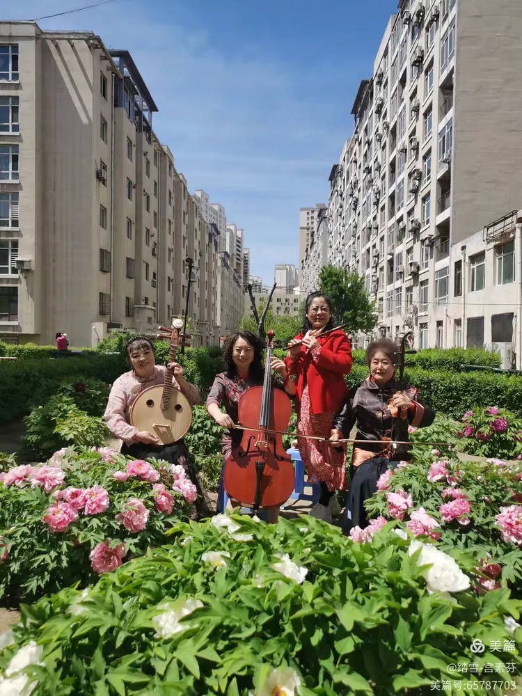海城百汇香山小区的音乐与花香之旅